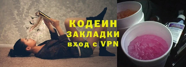 ГАЛЛЮЦИНОГЕННЫЕ ГРИБЫ Осинники
