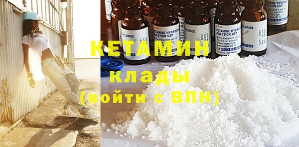 ГАЛЛЮЦИНОГЕННЫЕ ГРИБЫ Осинники