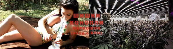 шишки Нягань
