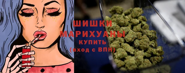 шишки Нягань