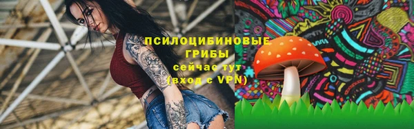 крисы Нязепетровск