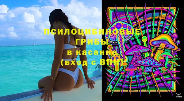 шишки Нягань