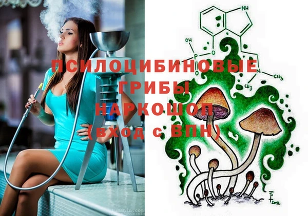 гидропоника Няндома